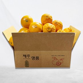 [대진작목반] 제주 한라봉 2kg(7-10과)+ 천혜향 2kg(8-12과) 가정용/ 실중량