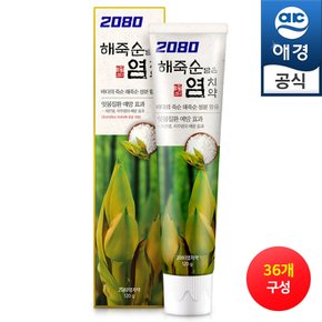 2080 해죽순 담은 염치약 120gx36개