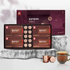[정관장]홍삼지환세트 (홍삼지감50mlx20포+홍력환 3.75gx10환) 2BOX