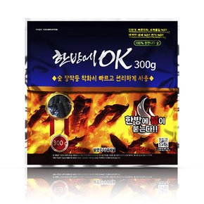 300g 한방에 착화숯 캠핑 참숯 구이용 화로숯 착화탄 맹그로브 한방에참숯 캠핑 바베큐숯 불멍