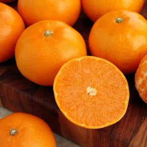 [오초록] 제주 고당도 감귤 신품종 수로미 진귤 4.5kg(2S~M 로얄과)