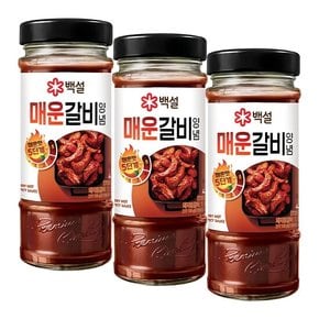 [G]백설 매운갈비양념 490G 3개