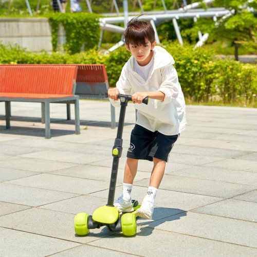이미지 DP