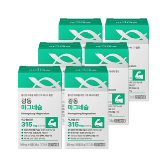 광동생활건강 광동 마그네슘 60정 x 6박스