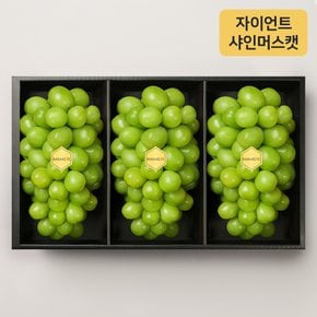 프리미엄선물세트 자이언트 샤인머스캣 3입 (개당 750g 이상)