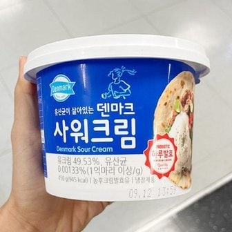  덴마크 사워크림 450g x 2개 코스트코