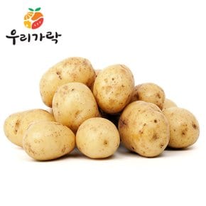 감자 (왕특) 1kg 내외 (4-6입)