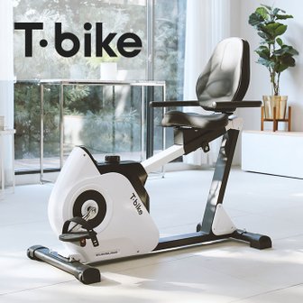 은성헬스빌 티바이크 (Tbike) 좌식 싸이클