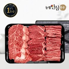 [바로배송][농협안심한우] 1++등급 한우 선물세트 채반 구이5호 1kg (등/안/갈)