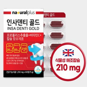 내츄럴플러스 인사덴티 골드 뼈 치아건강 60정
