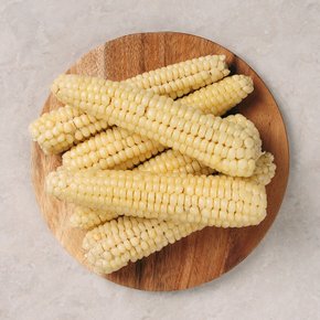 [품질보장/냉동] 괴산대학 삶은 찰옥수수 9개 (14cm내외)