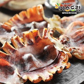 산지직송 구룡포 피데기 반건조오징어 10미/900g~1kg