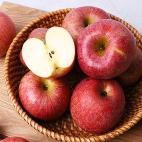경북 사과 고당도 특품 꿀사과 3kg (중과, 13과)