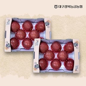 문경 사과 2.5kg 8과내(1+1) 총 5kg 16과내