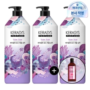 퍼퓸샴푸 바이올렛 로즈 1L 3개 + 180ml 샴푸 추가 증정