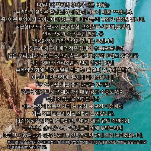 추가이미지9