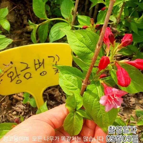 확대된 대표 메인이미지