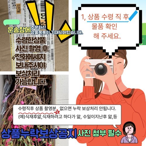 추가이미지5