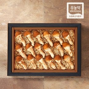 지정농장 무농약 참송이버섯세트 1kg/26-30개 [지함+보냉가방]