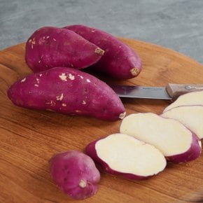 꿀밤고구마 2kg 중