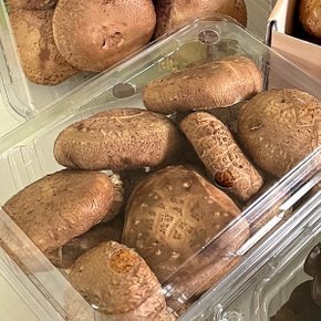 백암면 남가네 표고버섯 400g(화고)