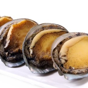 자숙전복 800g(25마리내외)