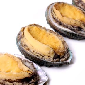 자숙전복 800g(25마리내외)