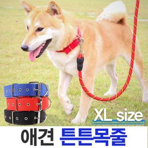 튼튼목줄 반려동물 소형대형견 애견 벨트타입