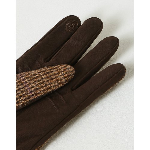 LF Product Image6