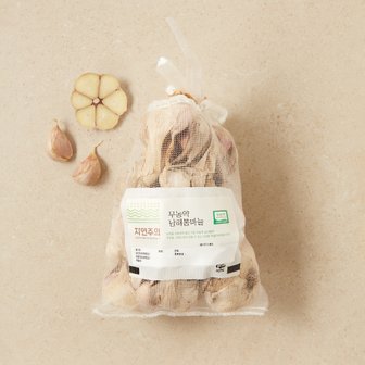 자연주의 친환경 남해통마늘 500g