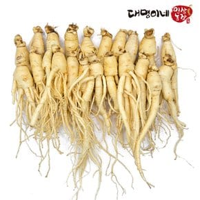인삼 수삼 세척 난발삼 500g