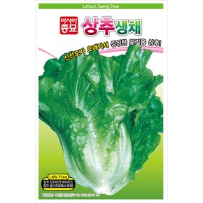 상추씨앗종자 아삭이상추 생채 6만립 (LMV Free)