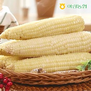정선아리랑 냉동 찰 옥수수 25개(17cm내외)
