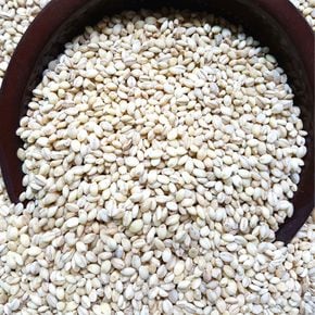 국내산 찰보리 1kg