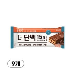 더단백 단백질 크런치바 초코 9개