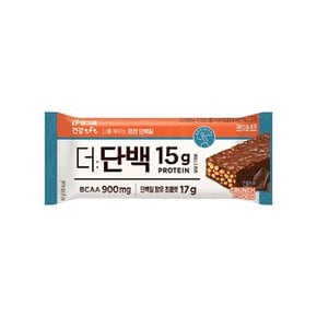 더단백 단백질 크런치바 초코 9개