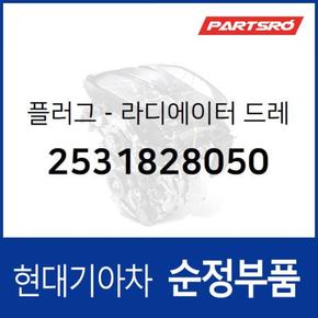 순정 라디에이터 냉각수 부동액 드레인 콕크 볼트 (플러그) (2531828050) 마르샤, 쏘나타, 아반떼, 엑센트, 엘란트라, 티뷰론 현대모비스부품몰