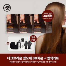 알앤비 실크염색제 (총 염색제 30회분) +염색키트