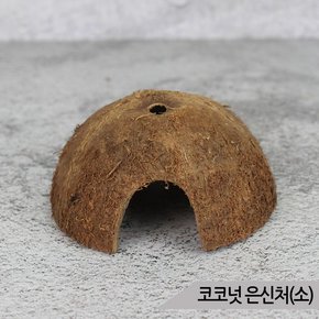 천연 코코넛 은신처 소 햄스터 파충류 어항장식