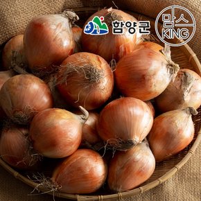 [더함양]지리산함양사람들 함양 햇양파 만생종 저장용 특대 6kg