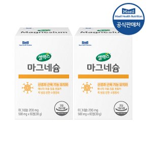 마그네슘 2박스 [500mg x 120정] (60일분)