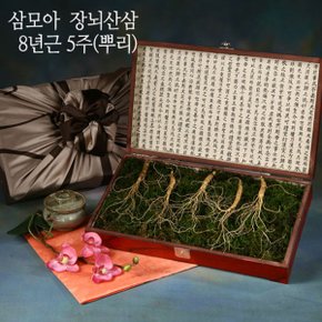 삼모아 장뇌산삼(산양산삼) 8년근 5뿌리(효도선물세트)/고가구케이스+실크보자기포장