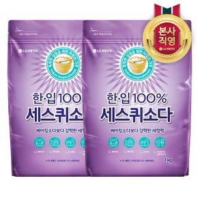 한입 세스퀴 탄산소다 1KG x 2개[32294563]