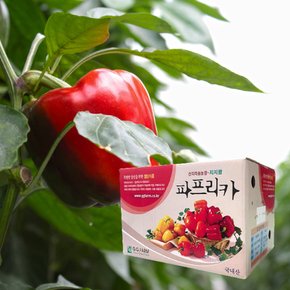 [지우] 지지팜 파프리카 프리미엄 특상품 선물용 2kg농장직송