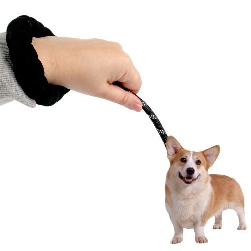 이미지1