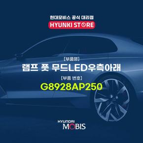 현대모비스램프 풋 무드LED우측아래 (G8928AP250)