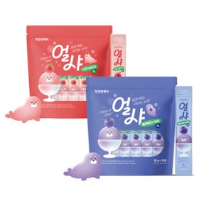 얼샤 블루베리20입+사과20입 아이스스틱