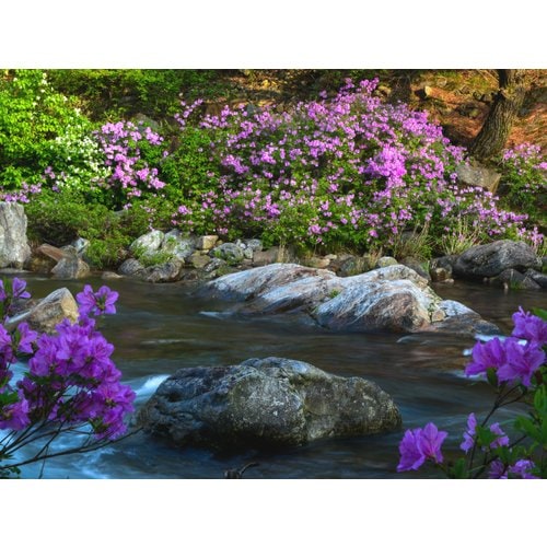 https://media.eoding.com/media/travelagent/40/imagecontent/용량납춤_aQijQWh.jpg