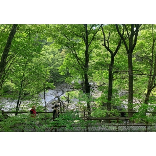 https://media.eoding.com/media/travelagent/40/imagecontent/지리산뱀사골계곡_여름보정1_O20LiGN.png