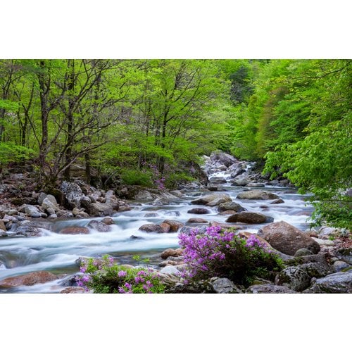 https://media.eoding.com/media/travelagent/40/imagecontent/뱀사골_m3lBuje.jpg